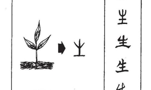 气藤药材图片大全-气藤药材图片网 - 为你提供气藤长什么样图片、气藤的图片