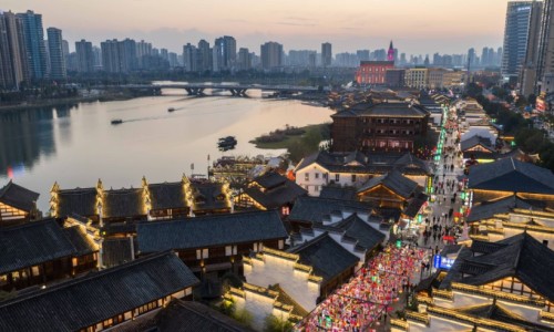 气藤是什么样子的-气藤药材图片网 - 为你提供气藤长什么样图片、气藤的图片
