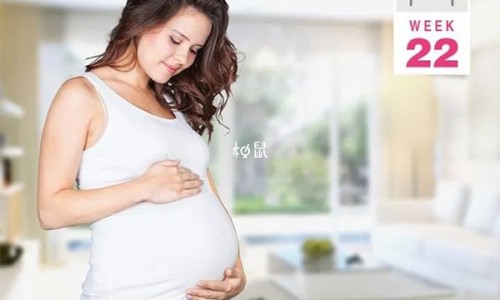气藤是什么样子的-气藤药材图片网 - 为你提供气藤长什么样图片、气藤的图片